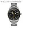 Luxury Tudory Brand Designer Birstwatch Dirudder Watch Series Mens Watch Fashion Sports Business Steel Band Mechanical Watch M79230B-0008 с реальным логотипом 1: 1
