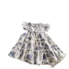 Babymeisjes chiffon bloemenjurk zomer mouwloze jurken 2024 nieuwe kindermeisje prinsesjurk