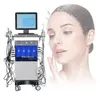 14 In 1 Wasserhydro Dermabrasion Maschinerwasser Peeling Haut Master Oxygen Gesichtspflegesystem Professionelles Schönheitssalon Spa -Gerät