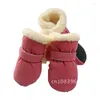 Ensemble de vêtements pour chiens de 4 chaussures super confortables pour petits chiens chihuahua chiot hiver