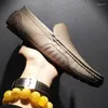 Повседневная обувь мужчина 2024 г. Летние молодежные мокасины на искренний кожа