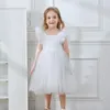 Vestidos meninas bebê princesa tutu manga de vestido infantil infantil malha de tule tule vestido festão de aniversário roupas 1-5y