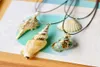 Boho Conch Sea Shell Halskette Hawaii Strand Sommer Halsketten Wachs Seil Kette Ozean Tier Natures Muse Anhänger Schmuck für Frauen4503192