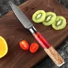 Cuchillo de salen de 3.5 pulgadas Damasco VG10 Core de acero Cuchillo de fruta ultra afilada 67 capas Patrón clásico Red Red Resina Madera estabilizada