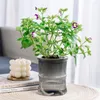 Vasen 1 PC tragbare selbstabsorbierende Pflanzentopf mehrfarbige Imitation Glass Flower Home Decor