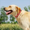 Ayarlanabilir Naylon İşlemeli Köpek Yakası Özel Kimlik Adı Aksesuarlar Küçük Orta Büyük Köpekler İçin Evcil Yaka Pets Pets Malzemeleri Perro 240508