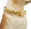 Allmatch Chain Gold Tone Curb Cubain Pet Link en acier inoxydable Col Colliers de chien entièrement en acier inoxydable Colliers Pet877335