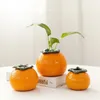 Vases pas faciles déformation orange hydroponic vase mode mignon forme de fruit jardinière mini plante fleuriste petit laboratoire