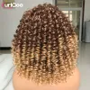 Perruques courtes courtes afro perruques bouclées coquineuses avec une frange pour femmes noires Synthétique Synthétique Ombre Cosplay Cosplay Natural Highlight Blonde Wig