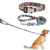 Dog Collar Custom Puppy Cat Tag Tag Tag Leash Placa de identificação personalizada Pet para cães grandes médios 240508