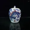 Bouteilles chinoises vieille porcelaine bleu et blanc dans le pot de couvercle dragon rouge