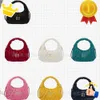 Modedesigner -Taschen Satin Mini Handtaschen undrarm Wander Miui Hobo Clutch Halten Handtasche Umhängetasche Retro -Brieftasche Leder Bankett FN23