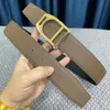 Designer Quiet Belts for Women Mens Belt Nice Genuine Leather High-quality Multiple Styles 2.5 Cm Width with No Box 05