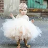 Doopjurken Champagne Sheer pasgeboren baby shower jurk Princess Christmas Party Vest Q240507