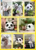 Masques Cosplay Masks Halloween Party Mask Supplies Panda Bear Costume Head Hood 3d Paper Mode