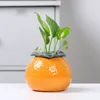 Vases pas faciles déformation orange hydroponic vase mode mignon forme de fruit jardinière mini plante fleuriste petit laboratoire