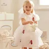 Girl's Dresses Dave Bella Girl Princess Dress 2024 New Summer Childrens Baby Puff Sleeves with White Mesh Noble and Cute Charm Party DB2240623L240508