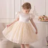 Robes de fille Elbcos 3-8Y Girl Girl Crew Crew Necolline Puff Short à manches longues Lace Lace Robe Holiday Princess Party Dressl2405