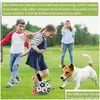 Hundespielzeug kaut im Outdoor Interactive Football mit Grab Tabs Training Fußball Haustier Biss Kauen Kugeln verbrauchen Energie ohne Zerstören Möbel Dhqs6