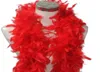 Écharbes 2021 Luxury Women Cashmere Scarf Couleur solide Robe de mode Feather Boa Burlesque Showgirl Hen Night Festival Ornemental SC4487307