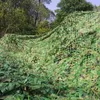 Tentes et abris camouflage filets militaire entraîne la tente de tente de tente de camping extérieur abri de chasse masquer les couvertures de voiture de filet