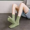 Frauen Socken Harajuku Mode Süßigkeiten Farbe Baumwolle Split Zehen weibliche Strumpfwäsche zwei Mittelröhrenfinger