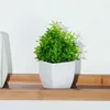 Декоративные цветы венки искусственное зеленое бонсай фальшивое растение
