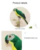 Décorations 25cm / 35 cm simulation de plumes Perrot Macaw Window Jardinage Decoration Bird mousse de mousse décoration art faux oiseau