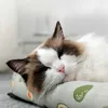 Kedi Yatak Mobilya Yaz Pet Soğutma Mat Kedi Uyuyan Mat ısırık Dirençli Pet Buz Mat Köpek Kum Soğutma Yuva Köpek Mat D240508