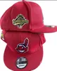 Американские бейсбольные индейцы Snapback Los Angeles Hats Chicago La NY Pittsburgh Boston Casquette Champion Champions Регулируемые шапки A1