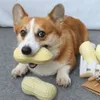 Form Erdnusszähne Interaktive Squeaky Cleaning Squeak Hundekauen Spielzeug für mittelgroße Hunde, große kleine Rassen Welpen Tierversorgungen s,