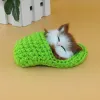 Miniatures Cat mignon dormant dans une pantoufle en laine ornement vocable Vocable Kitty Miniature Pets en peluche Doll Kids Toys Car Deccor Home Decor
