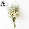 Decorative Flowers Natural Dried Gypsophila Bouquet Flower Arrangement Floral Wedding Home Decoration