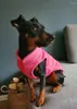 Hondenkleding Vest zachte fleece vest kleding voor kleine honden vaste snoepkleur t-shirt met harnas leiband d-ring pug Yorks jas