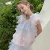 Girl's Dresses Girls Dress 2024 Koreaanse zomer Nieuwe mouwloze Pompadou -tanktop Princess Net Sweet Fashion Summer Childrens Skiingl2405