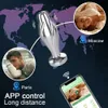 Andere gezondheidsschoonheidsitems Bluetooth Metal Anal Plug App Vibrator Remote Control Butt Plug Prostate Massager Anal S voor vrouwen Men Volwassene Y240503
