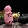 Ft Creative Metal Plastic Piglet Decorations Double Flame Direct Spray Windproof Lighter Fire Lock Gift Box Wholesale