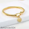 Titanium Steel Bangle Cable Wire Gold Love Heart Charm Bracelet avec Crochet Ferme pour les femmes Men de mariage BIJEVES CONDIONS G2309045PE-3 BCUO