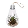 Vasos Plantadores de vidro externo em forma de lâmpada lâmpada Plants Plant Plant para suculento Tillandsia Holder Presente Home