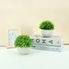 Fleurs décoratives 1PCS 14cm Melaleuca Artificielle Plantes en pot Bureau Home Lliving Room Outdoor Indoor Decor in rétro Pot Garden with Basin