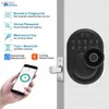 Smarde Smardeer Smardeer 4-en-1 verrouillage électronique adapté à Tuya Smart Lock équipé de serrure digitale mortelle sans clé WX