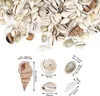 150-200pcs gemischte Seehruppen Ozean Strand Spirale Muscheln Craft Charms for Home Dekorationen Themen Party Kerze 240508