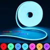 5V USB RVB NEON LED Strip Light1m 2M étanche avec application Bluetooth et télécommande pour l'éclairage de décoration intérieure 240508