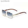 Carter de haute qualité 11 Lunettes de soleil de créateurs originaux Femmes CT7234 Lunettes de soleil Cool Mens Sunglass Oversize Square Léopard Arms Double Rod Bridge avec un véritable logo