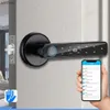 Smart Lock Smart Lock Biométrique Mot de passe d'empreinte digitale Déverrouillage de la porte électronique numérique TTLOCK Application APPLICATION DÉTÉSO LEULLOCKless Entrée sans clé WX