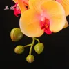 Kwiaty dekoracyjne 5pcs Symulacja poczuj prawdziwy dotyk phalaenopsis jedwabny ślub kwiat dekoracja domowa