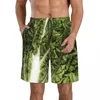 Mäns shorts simma sommar simningstammar strand surfbräda manliga kläder byxor blad färsk sallad