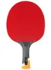 Stiga Profissional Carbono 6 estrelas Tabenista de tênis para raquetes de raquetes ofensivas esportes pingue -pongue espinhas em 240422