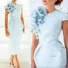 Elegant Sky Blue Short Sleeves Sheath Mother of the Bride with Floral Flowers Tea Length Formal Plus Size tail Dresses 0509