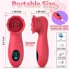 Andra hälsoskönhetsartiklar Rose Massage Stick Vibrator Female Masturbator Labia och bröststimulerande flytande kristall Display Vuxen Q240508